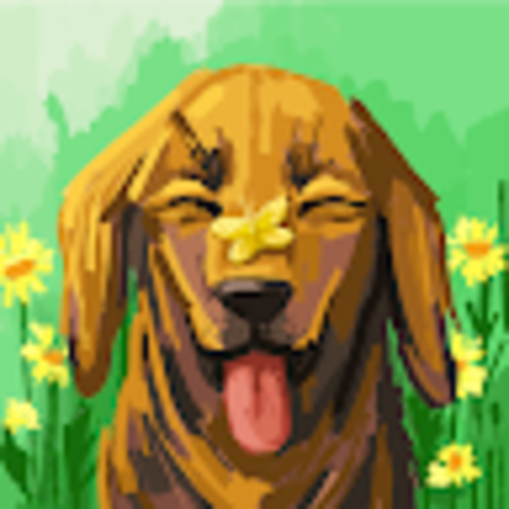 Meet your Posher, Timothy